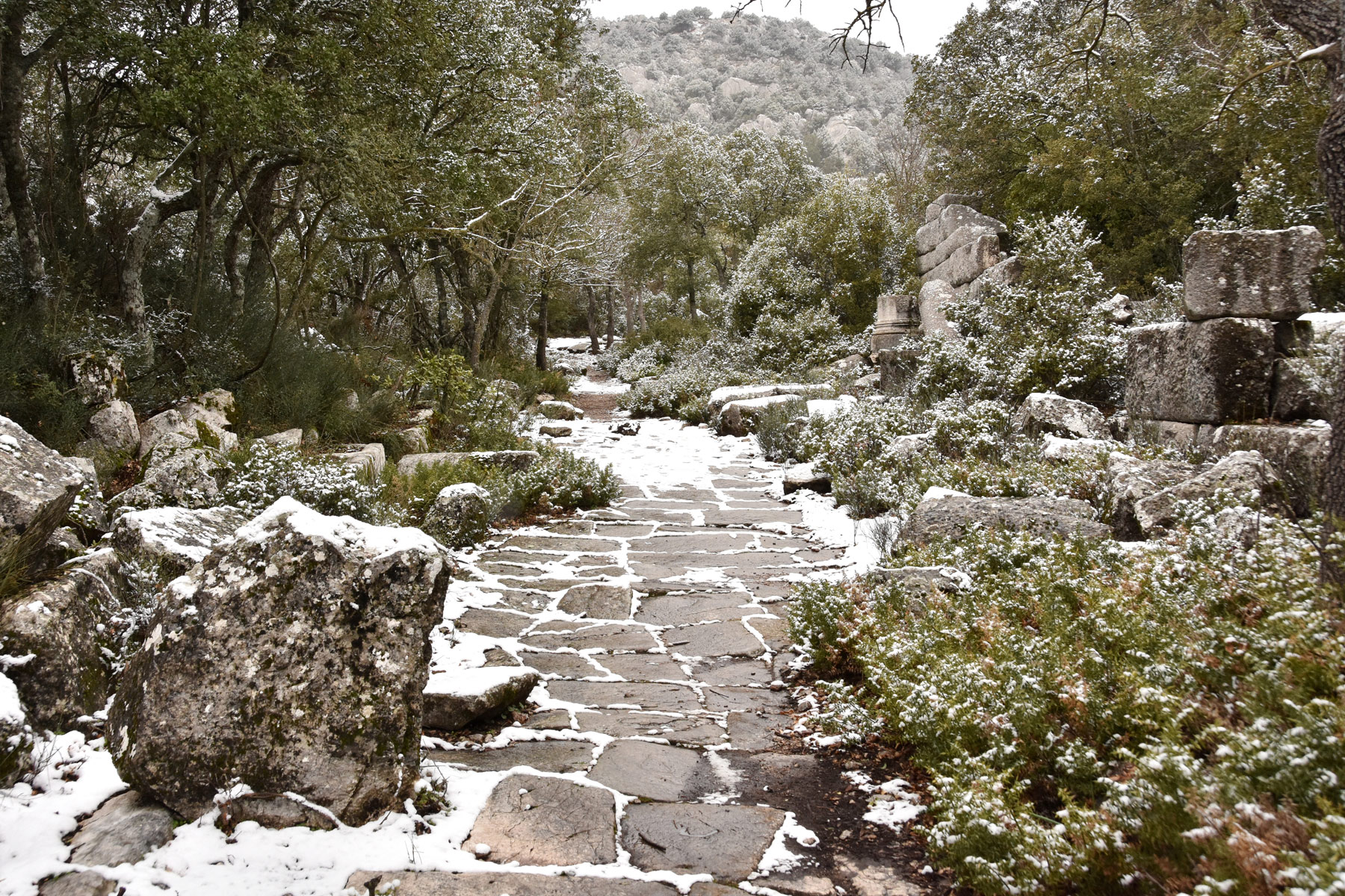 Termessos Ruins, Düzlerçamı